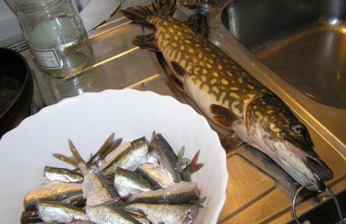 Agroturystyka Lisa Młyn - Foto 69