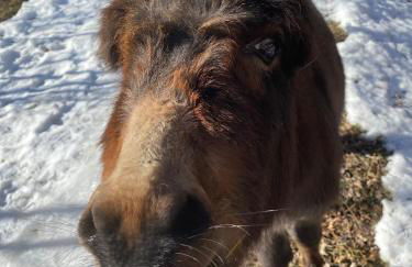 Mansarda al Noce - Foto 28