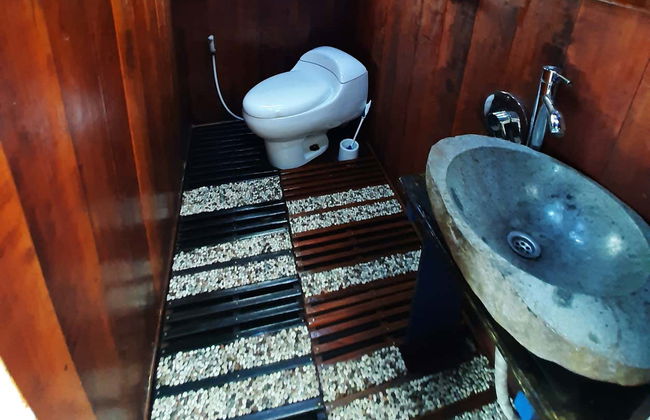 Crucero privado por Borneo con avistamiento de orangutanes en barco superior - Foto 10