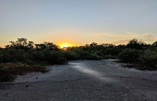 11 Miles to Anna Maria 3BR Palmetto Near Tampa Bay - Foto 32