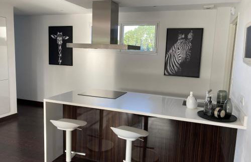 Villa de Rospico Les villas de Nevez - Photo 10