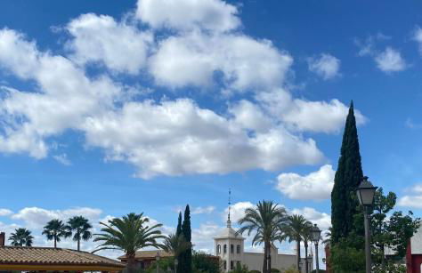 Casa Rural Dehesa del colmenar - Foto 3