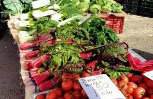 VILLA FLAMINGO San Pedro del Pinatar Beach House - Foto 52