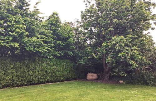 Ferienhaus Richter - Foto 19