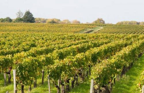 Paisible maison entre plages, lacs et bassin - Foto 17