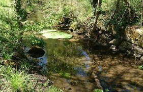 Chez Philopin - Foto 51