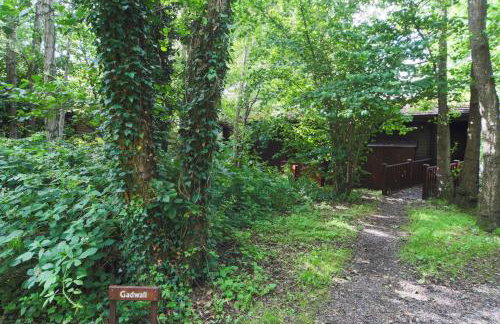 Gadwall Lodge with Hot-tub - Foto 6