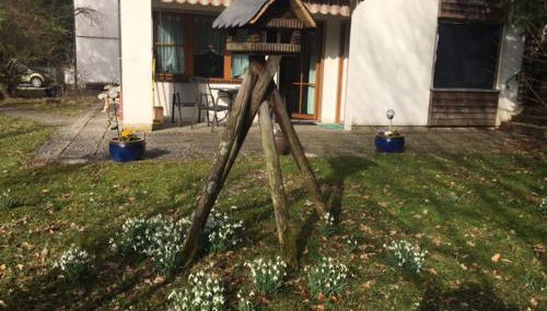 Ferienwohnungen Hanke Barbara - Foto 5