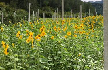 Ferienwohnungen JoJaSa - Foto 41