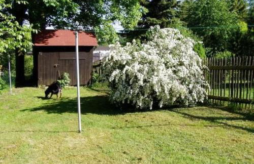 Holiday Home Schlossplatz by Interhome - Foto 9