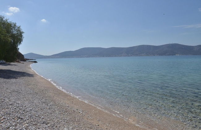 Salamis Beachfront House - Foto 39