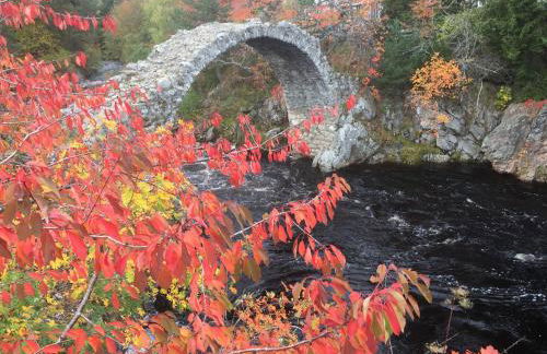 Coylumbridge Cottage - Foto 56