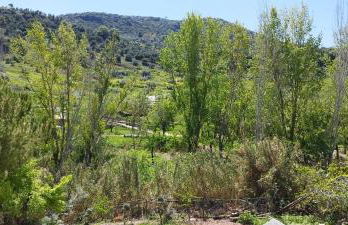 Casa Bravo - Foto 13