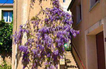 Maison du Midi, 2 Gîtes de charme - Foto 60