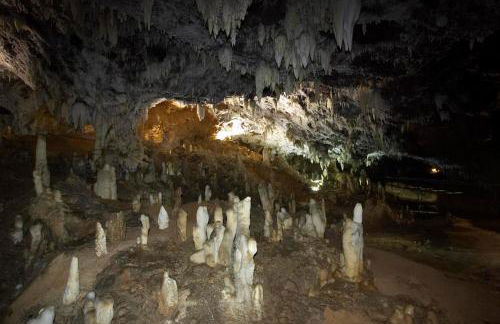 Luxury Villa Esmeralda - Foto 24