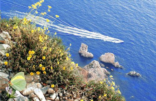 Conero Holiday Home - "Il Girasole" - Foto 9