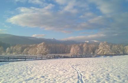 Wysokie Łąki domki w górach - Foto 59