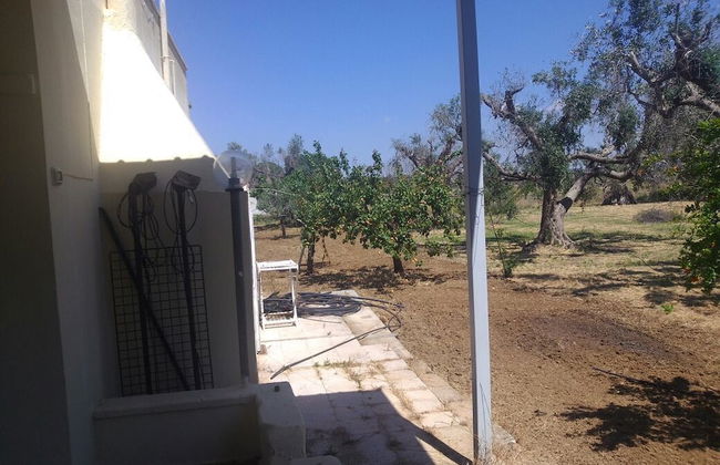 La Pergola - Foto 15