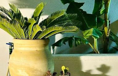 CasaTeresa mare - Foto 40