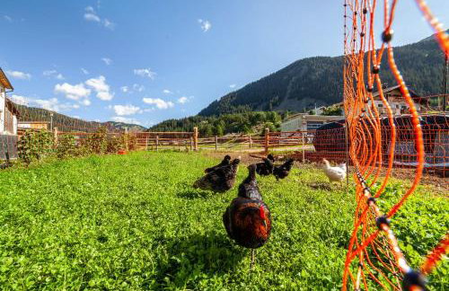 Mühlanderhof Apt Klopairspitze - Foto 24