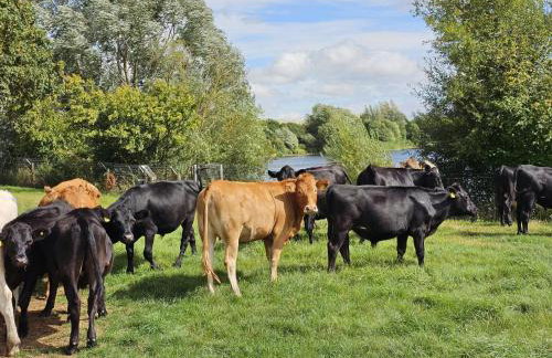 The Farmhouse - Foto 17