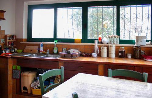 At Aunt Daniela house Oasis on Silence - Photo 46