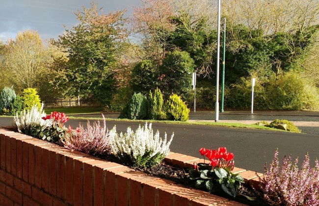 Swan Studios - Foto 29