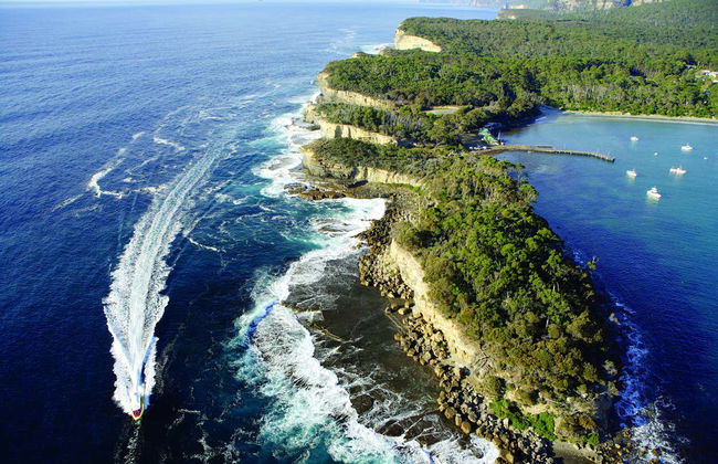 Giro in barca all'isola Tasman - Foto 3