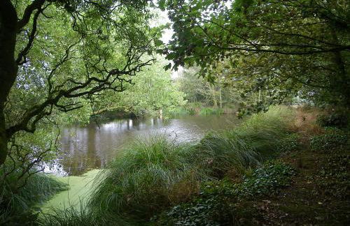 Maison "Ouessant" Pays des Abers - Foto 51