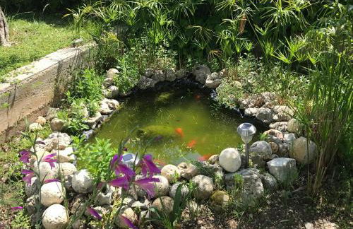 B&B Case Vacanza Orchidea marina di Macchia a Mattinata Gargano - Foto 65