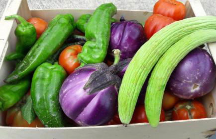 Azienda Agrituristica Colle San Giorgio - Foto 5