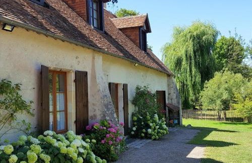 Gite au jardin de grand-père - Jusqu'à 8 pers - Proche Châteaux de la Loire - Foto 37