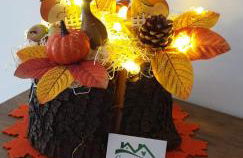 Green House - Photo 44