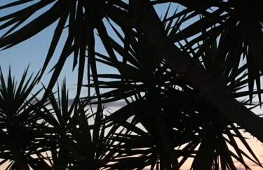 Monte Ramos - Foto 78