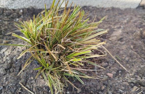 Apartment-Design 1, Altendtadt - Foto 17