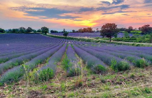 Beautiful Home In Barjac With Wifi - Photo 24