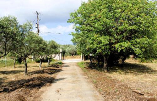 The Sisters Beach House - Foto 54