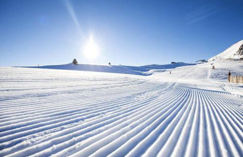 CASA BERNARD Zortea VANOI cuore verde del Trentino - Foto 37