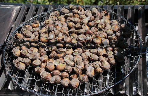 Pavillon de Diane - Foto 27