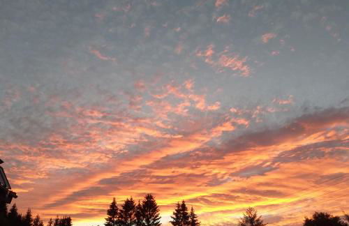 Ferienwohnung GABI - Foto 37