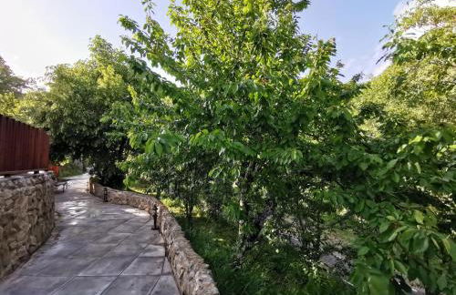 VILLA MAREL - Foto 3