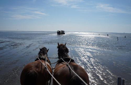 Villa Ludwig Fewo - Foto 20