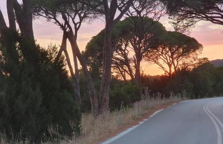 Villa Dunes 350m from the sandy beach - Foto 51