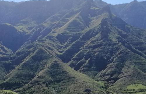 La Palmita House Flat - Foto 37