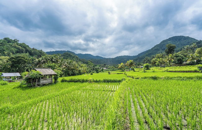 Pondok Carik Villa - Foto 23
