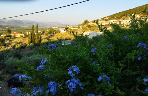 ''Shinohori'' Olive-Tree Apartment - Foto 35