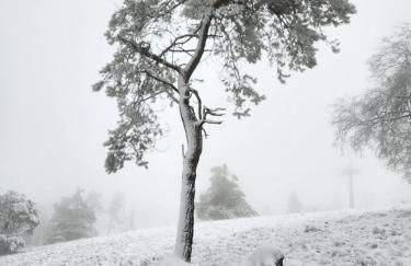 Haus Nina near Willingen and Winterberg - Foto 43