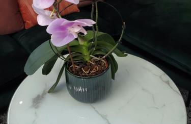 Mirka & Franck AIRCON CLIM, Apartment Chic, Parking Free, Avantages Packs Bookables - Foto 24