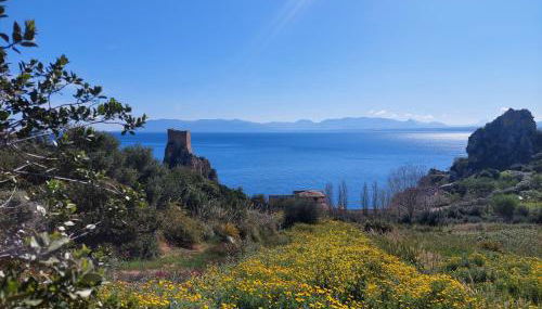 Piccola Baia - Foto 4