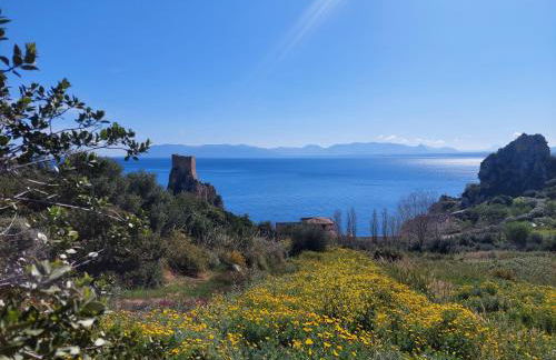 Piccola Baia - Foto 4